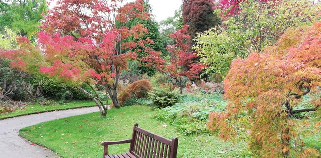 82427f7a-b2cb-4f85-829f-8940eb699fe1/1760972131458-autumn-trees-with-bench.jpg