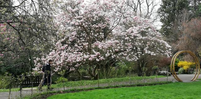 82427f7a-b2cb-4f85-829f-8940eb699fe1/1760972133683-magnolia-outside-minerva-temple.jpg