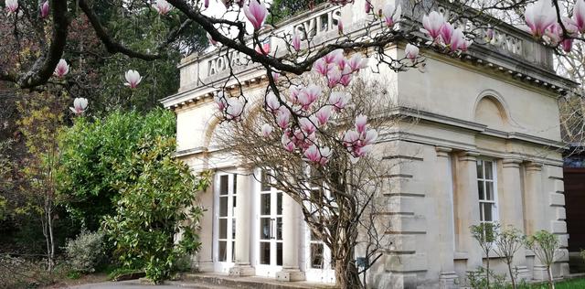 82427f7a-b2cb-4f85-829f-8940eb699fe1/1760972135496-minerva-temple-with-magnolia.jpg