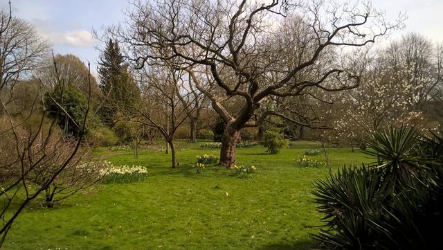 82427f7a-b2cb-4f85-829f-8940eb699fe1/1760972139915-spring-botanical-gardens.jpg