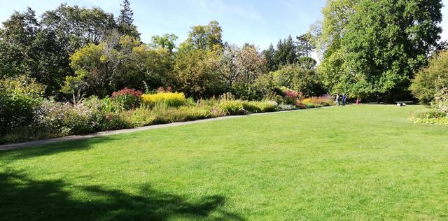 82427f7a-b2cb-4f85-829f-8940eb699fe1/1760972140886-wide-herbaceous-border-1.jpg