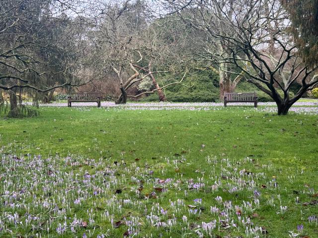 82427f7a-b2cb-4f85-829f-8940eb699fe1/1774440753437-floral-field-benches-front-shot.jpg