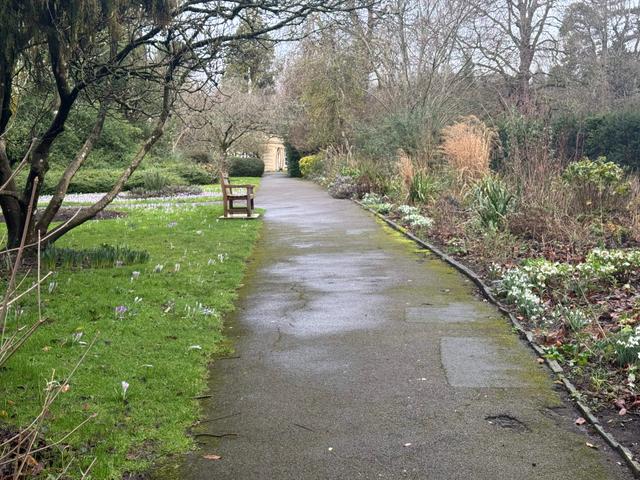 82427f7a-b2cb-4f85-829f-8940eb699fe1/1774441027566-path-up-to-temple.jpg