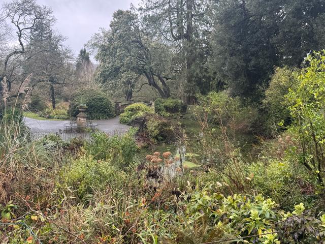 82427f7a-b2cb-4f85-829f-8940eb699fe1/1774441034331-temple-view-of-lake-shot.jpg